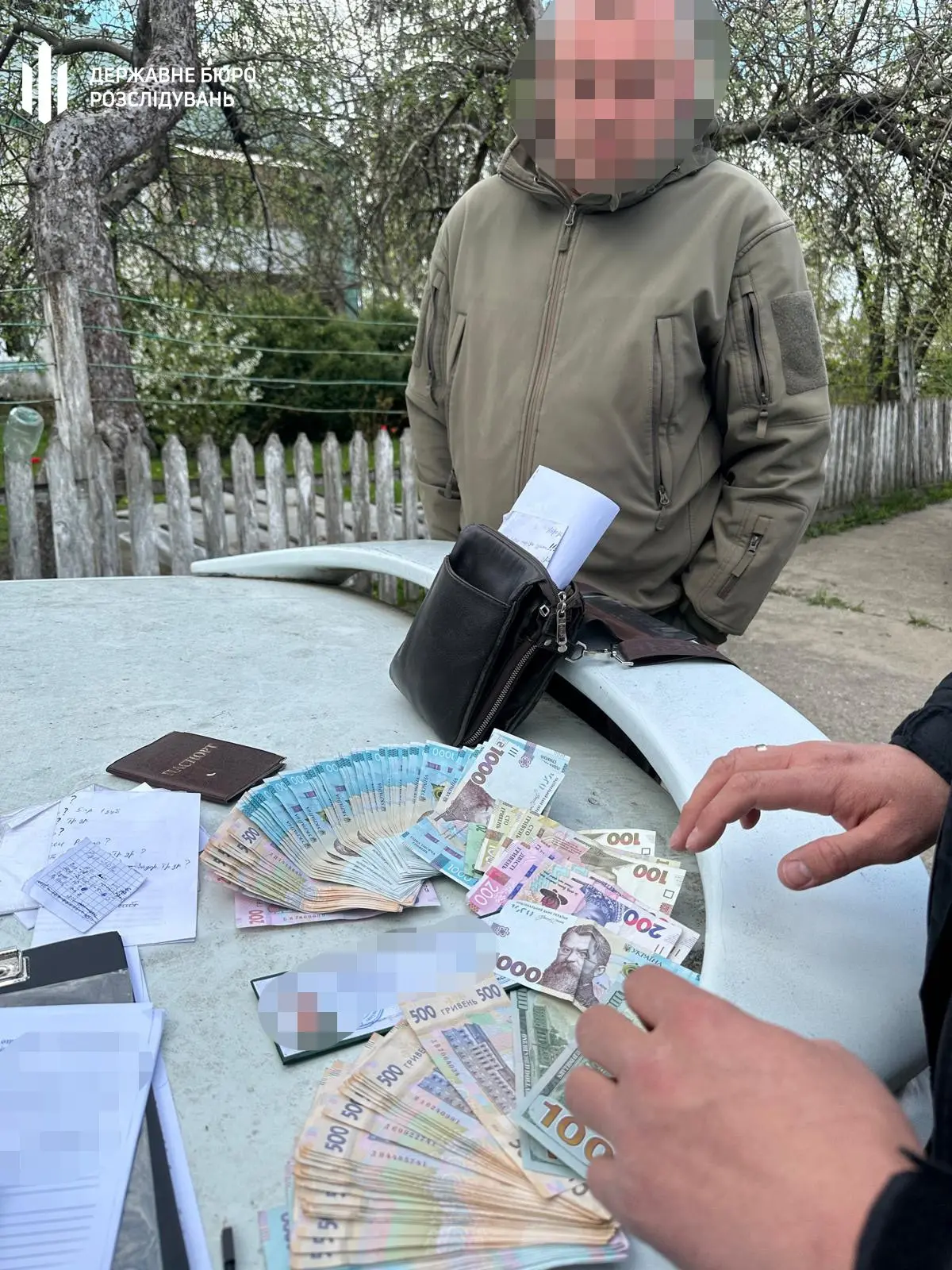 Тюрма або мільйонні застави: ДБР ліквідувало корупційну мережу в лісгоспах Одещини
