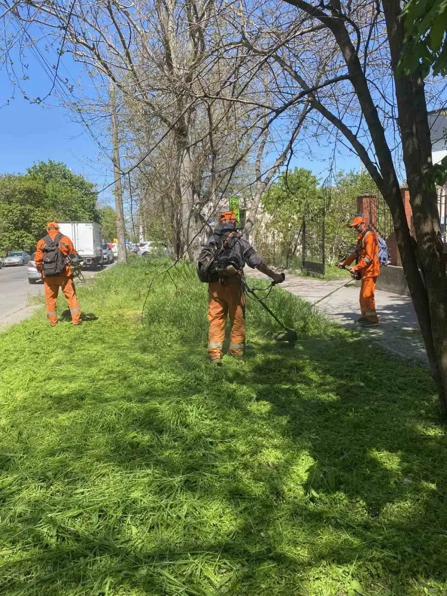 Одеські озеленювачі приборкують травневі бур’яни: покіс триває по всьому місту